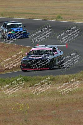 media/May-04-2024-Lucky Dog Racing (Sat) [[d39539b3f3]]/Race Pics/1015am (Turn 2)/